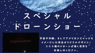 スペシャルドローンショー スペシャルドローンショー